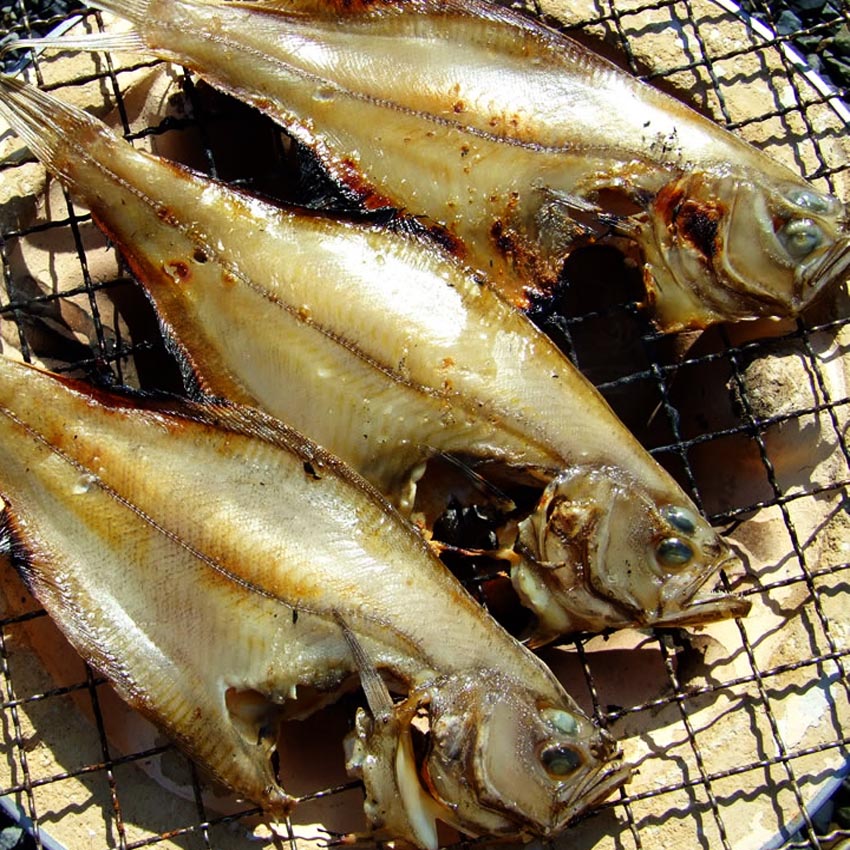 三国漁港ババガレイ干物焼き